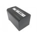CameronSino аккумулятор для Panasonic HDC-MDH2GK 4400mAh (CS-VBD58MC)