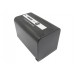 CameronSino аккумулятор для Panasonic HDC-MDH2GK 4400mAh (CS-VBD58MC)